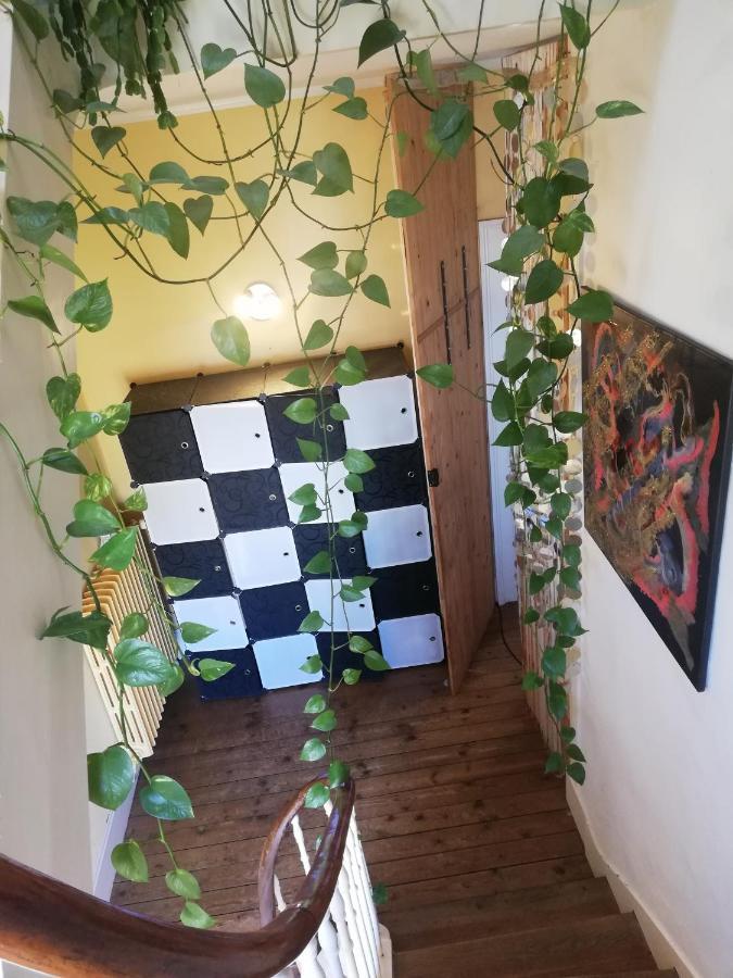 La Chambre D'Hote De Chris Cherbourg-en-Cotentin Eksteriør billede